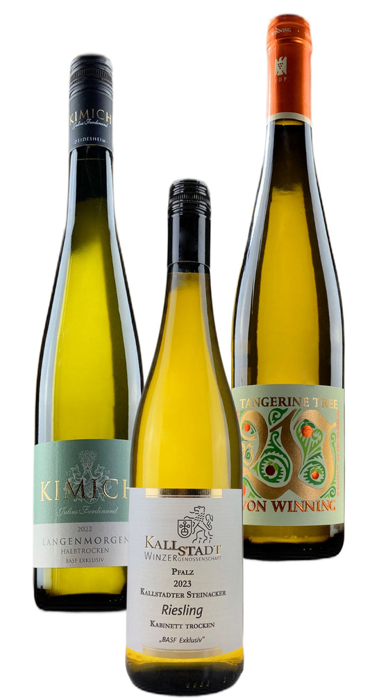 M12161H - Riesling BASF Exklusiv Palatinate wine box (12 Bottles)